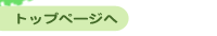 トップページへ