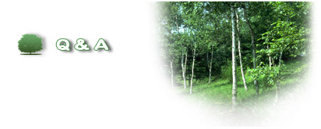 Q&A