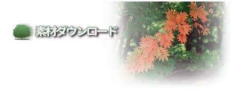 �f�ރ_�E�����[�h